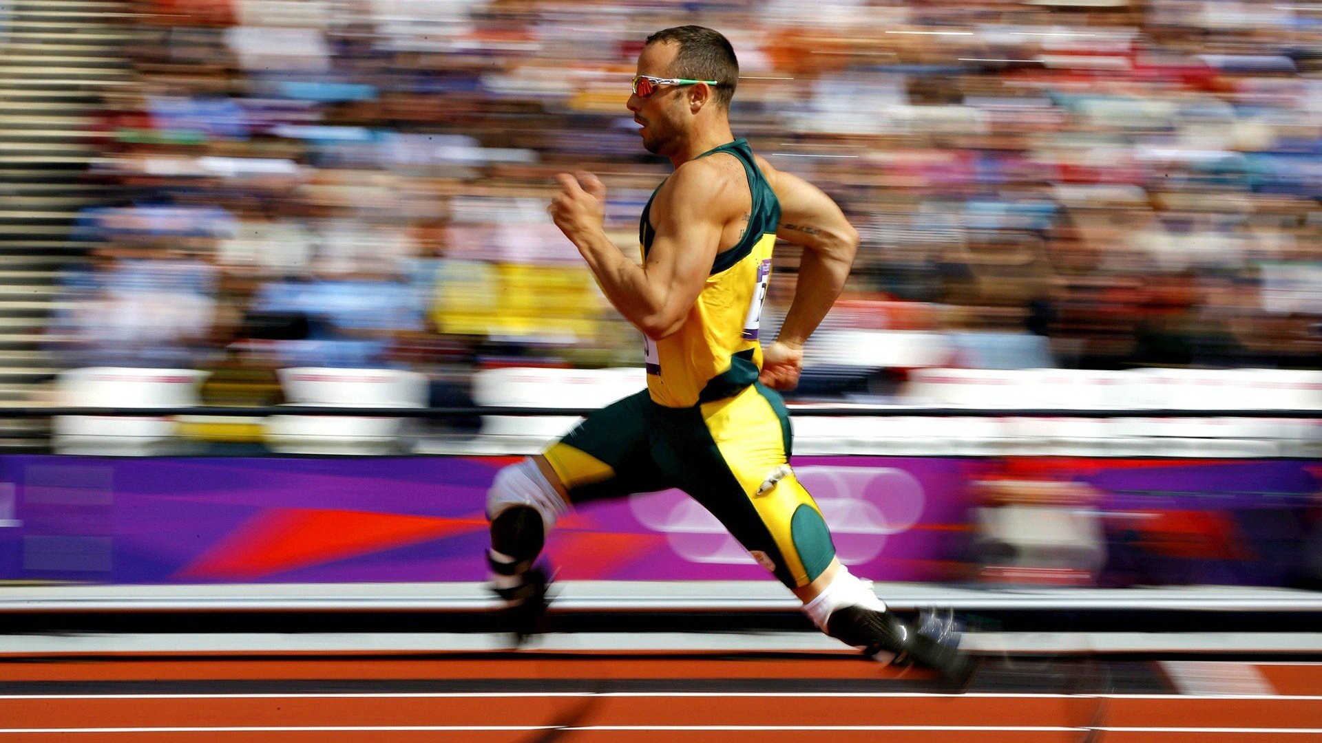 从森林狼到欧冠，篮球世界的狼性与独角兽的崛起